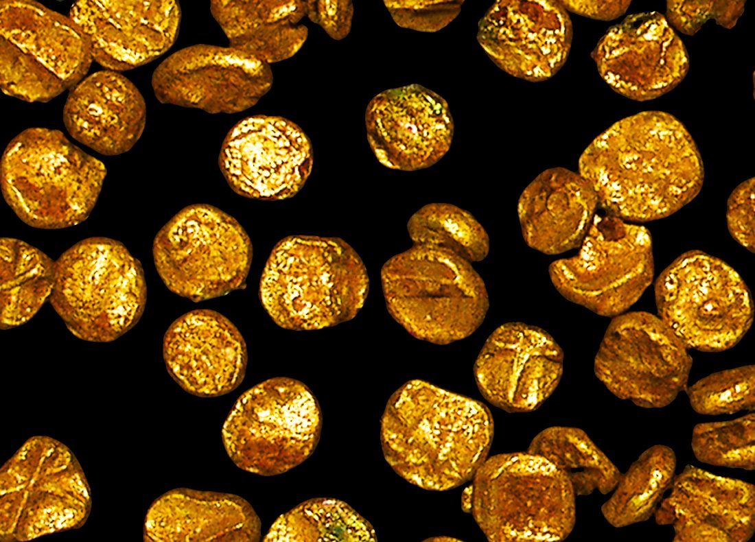The History Hoard