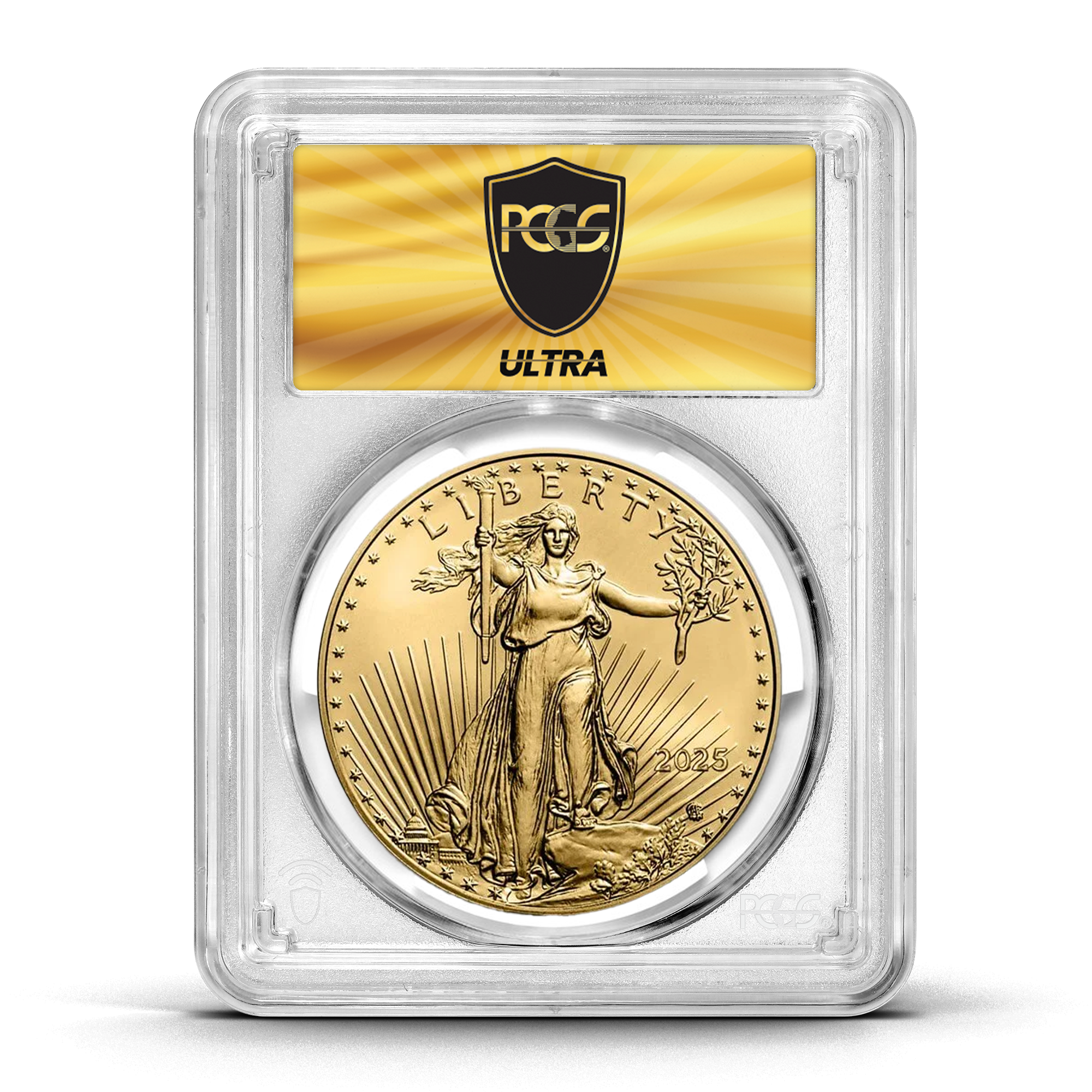 2 Coin Set: 2024 & 2025 P Silver Eagle With Privy – NGC MS70 ER Philly, 2 Oz Silver, US Mint