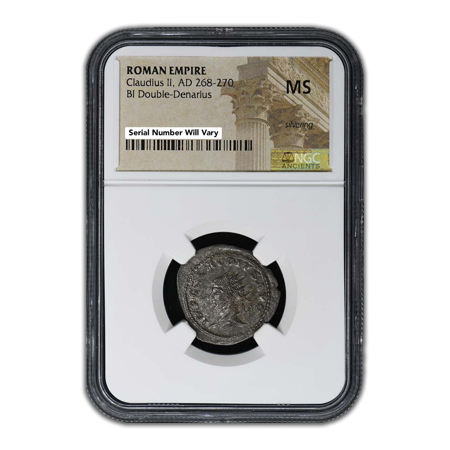 The History Hoard
