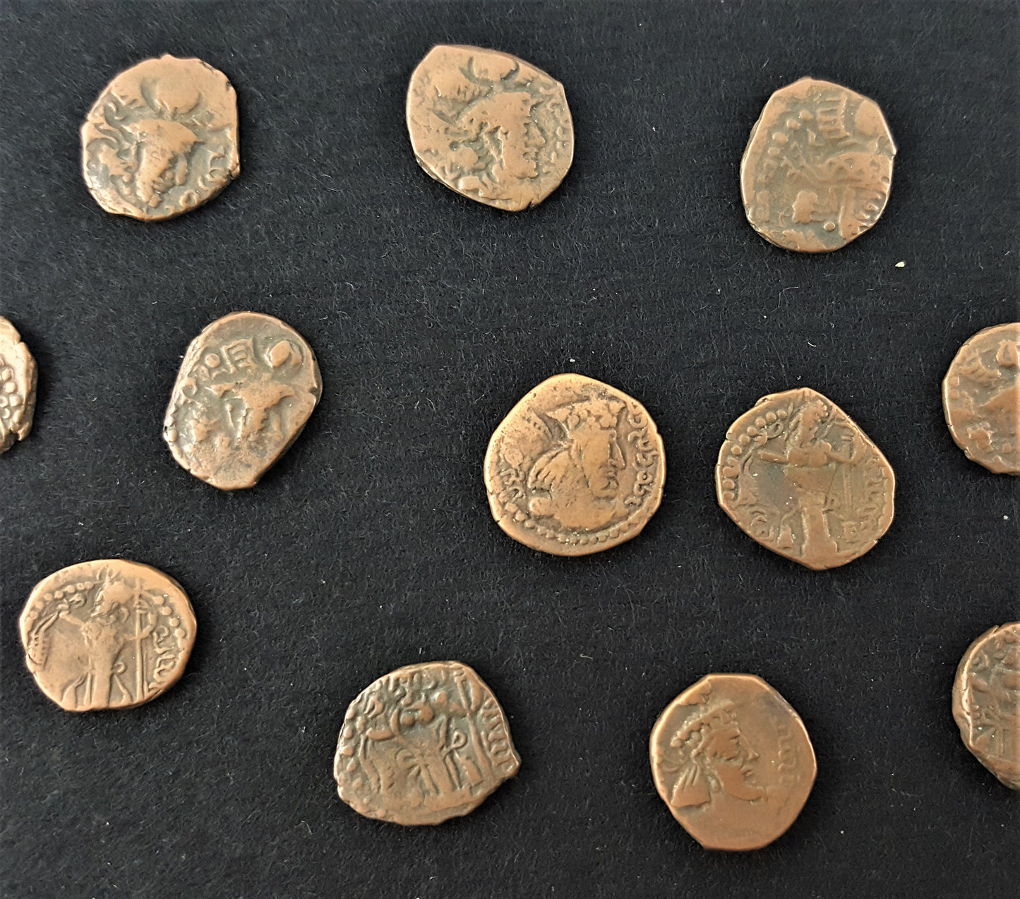The History Hoard